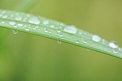 内部人士：《艾尔登法环》正在开发“大型”DLC